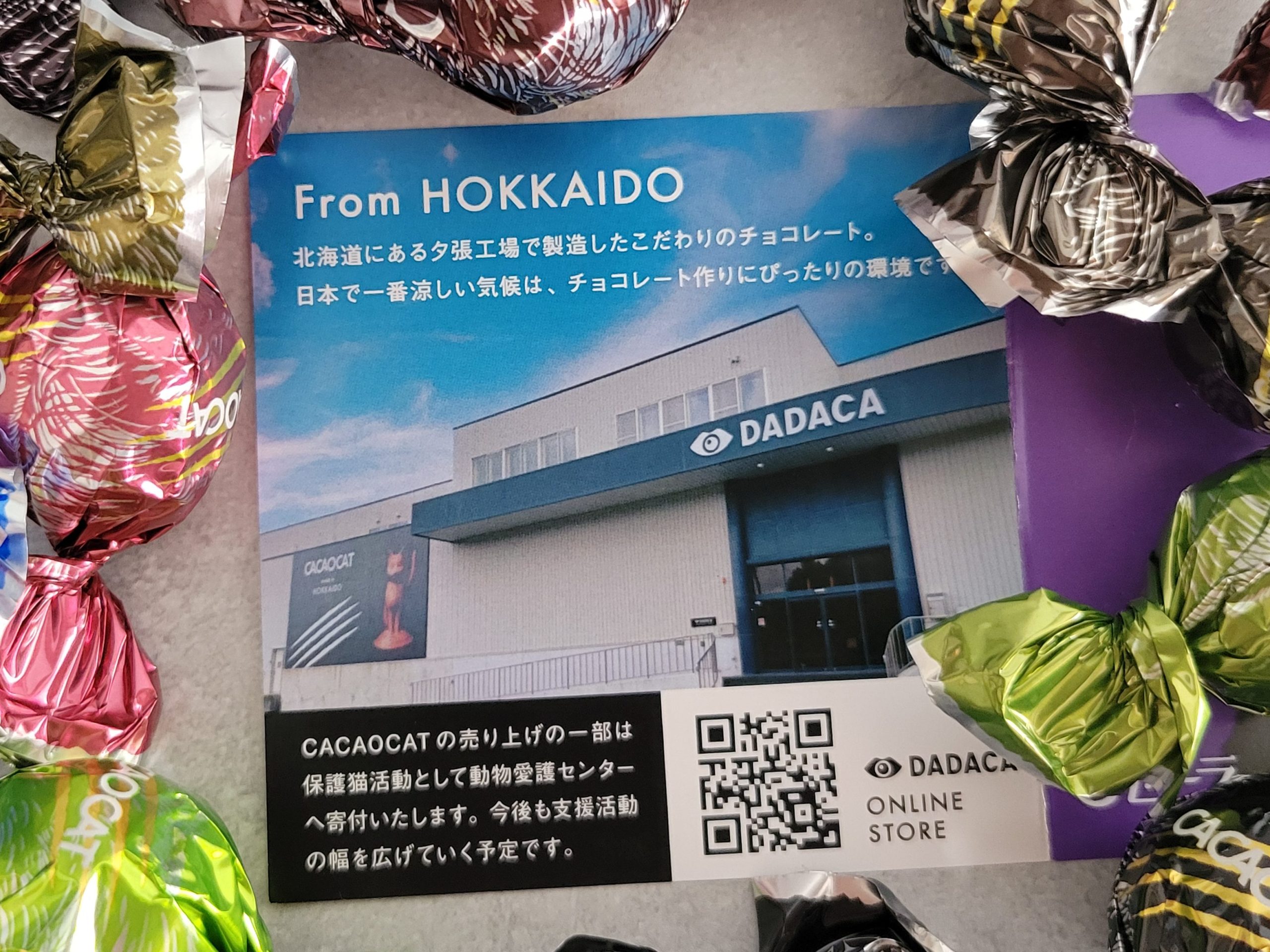 CACAOCATのリーフレット